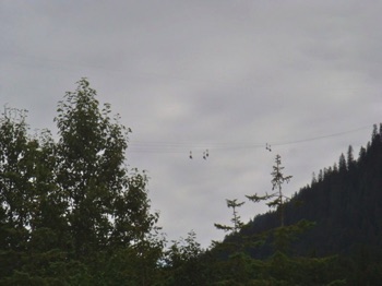 Cathy Fly’s On The Worlds Longest Zip Line